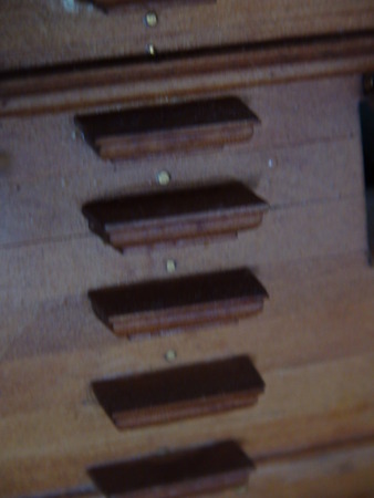 DSC00461.JPG